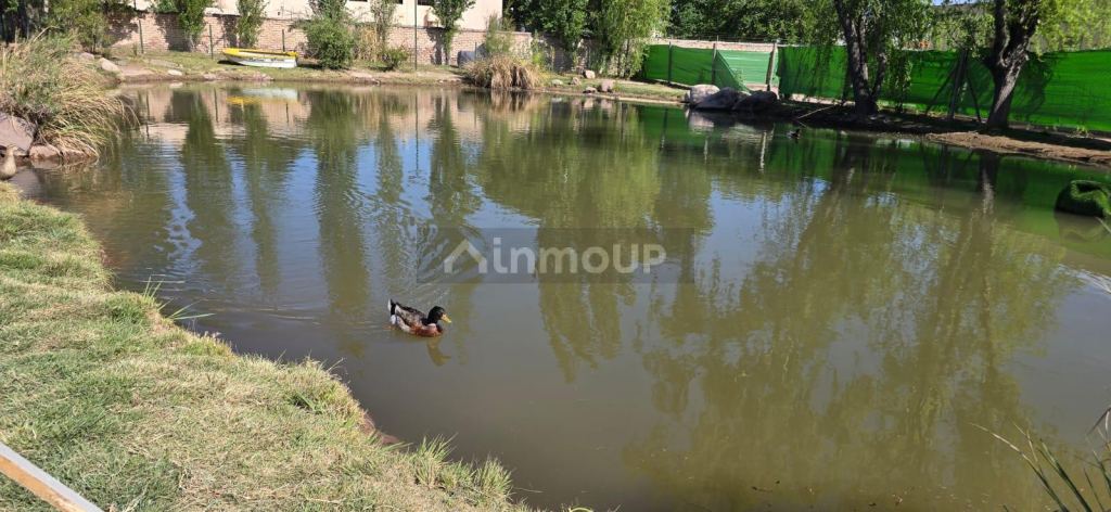 Lote en Venta en Maipu, Mendoza