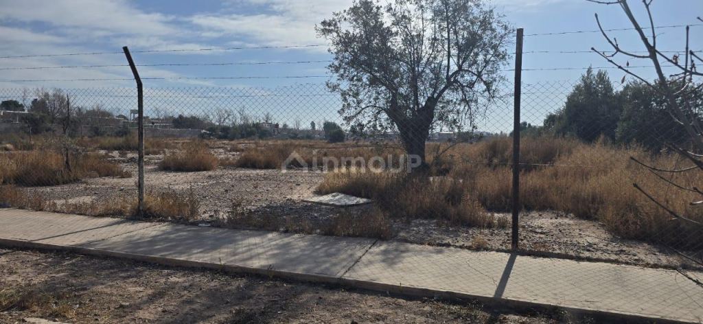 Terreno en Venta en Lujan de Cuyo, Mendoza