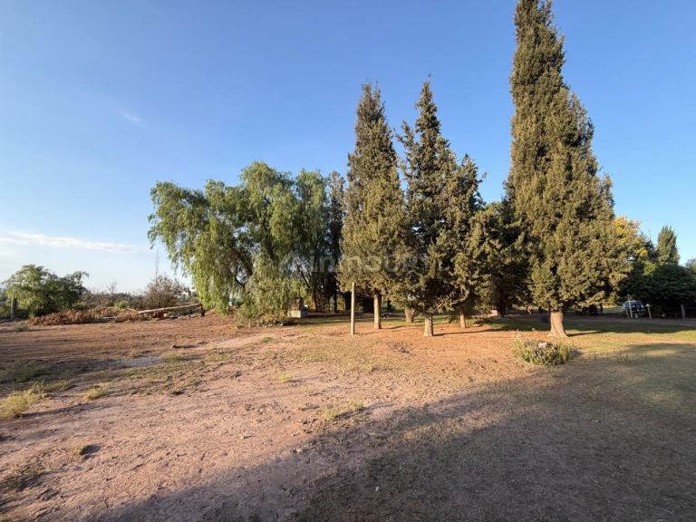 Lote en Venta en Lujan de Cuyo, Mendoza
