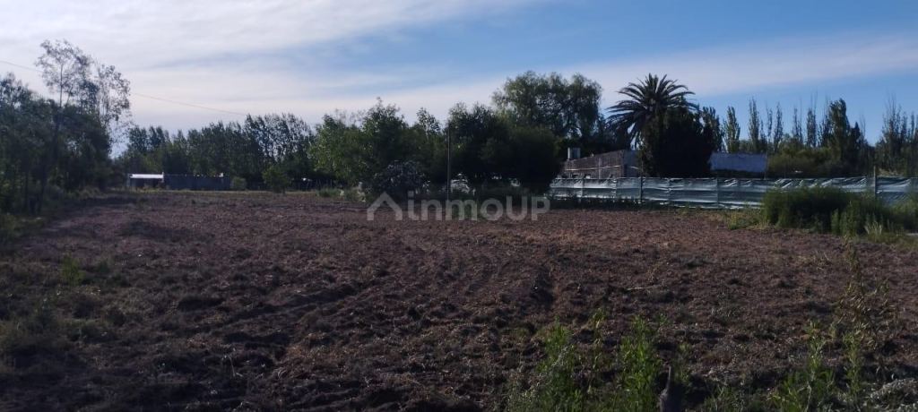 Lote en Venta en General alvear, Mendoza