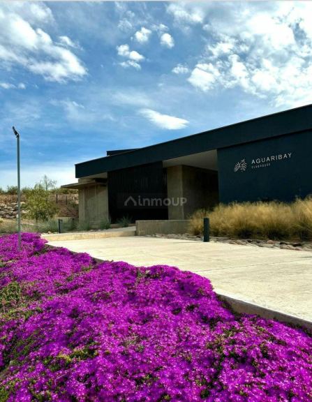 Lote en Venta en Lujan de Cuyo, Mendoza