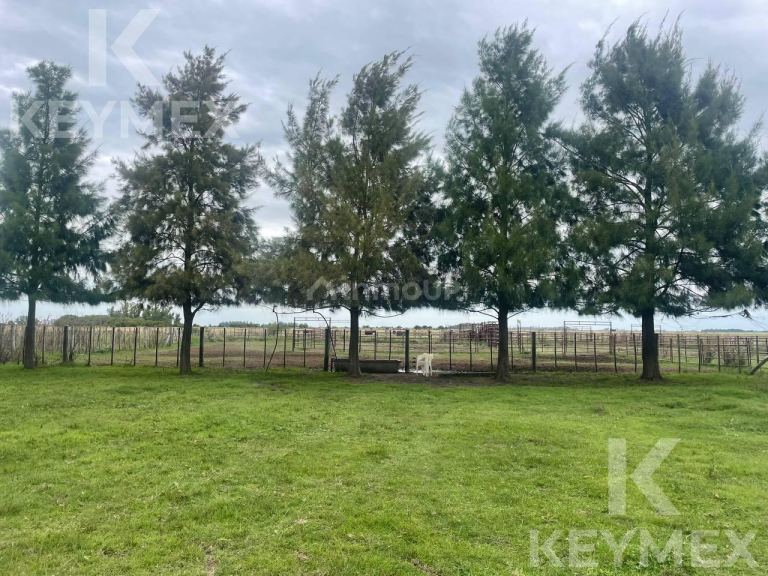 Campo en Venta en Magdalena, Buenos Aires Interior