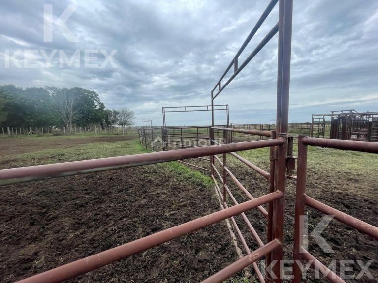 Campo en Venta en Magdalena, Buenos Aires Interior
