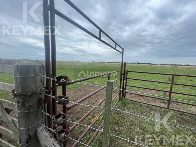 Campo en Venta en Magdalena, Buenos Aires Interior