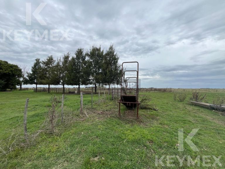 Campo en Venta en Magdalena, Buenos Aires Interior