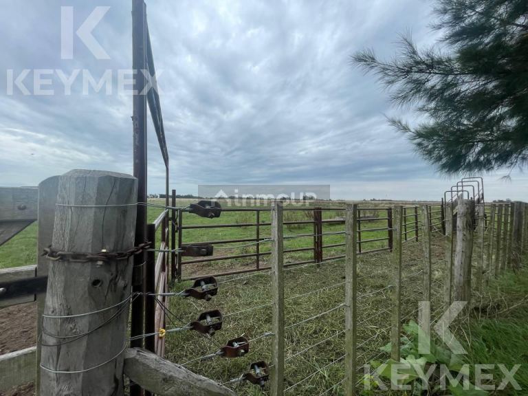 Campo en Venta en Magdalena, Buenos Aires Interior