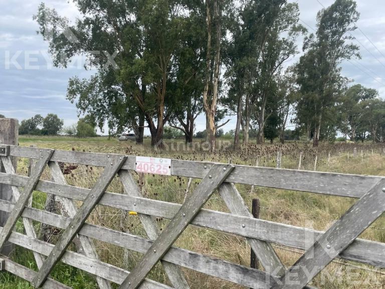 Campo en Venta en Magdalena, Buenos Aires Interior