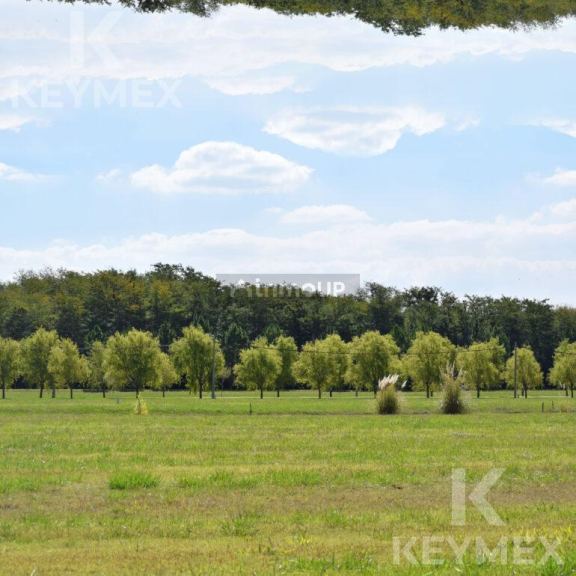 Terreno en Venta en Coronel Brandsen, Buenos Aires Interior