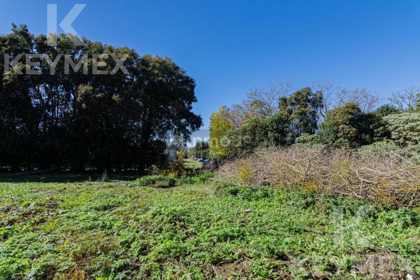 Terreno en Venta en Chascomus, Buenos Aires Interior