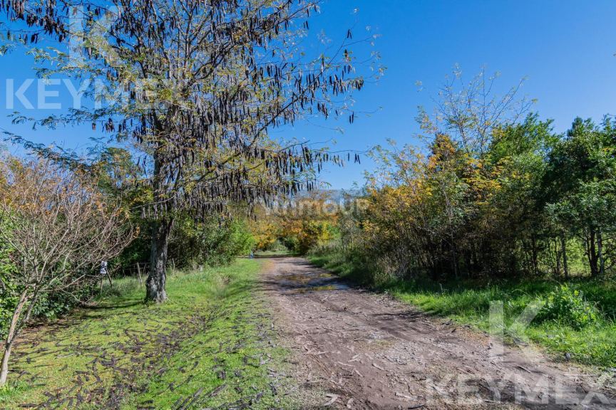 Terreno en Venta en Chascomus, Buenos Aires Interior