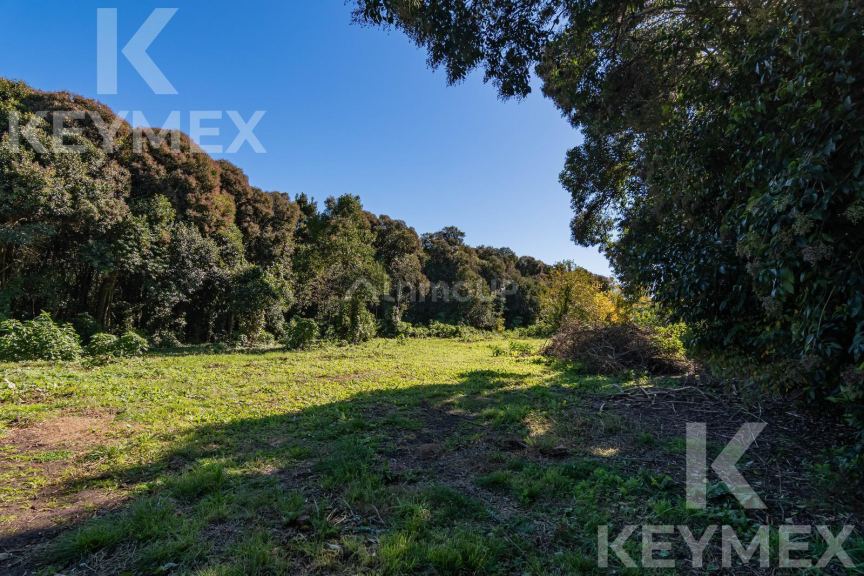 Terreno en Venta en Chascomus, Buenos Aires Interior