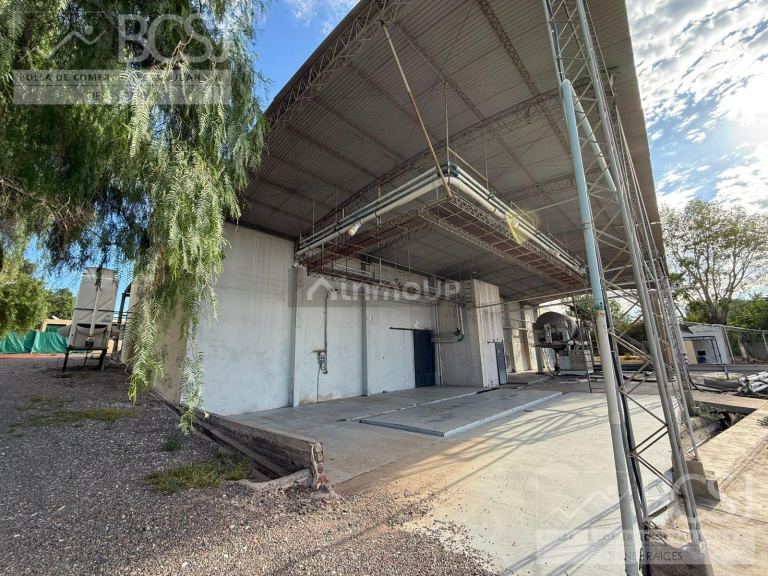 Bodega en Venta en Rivadavia, San Juan