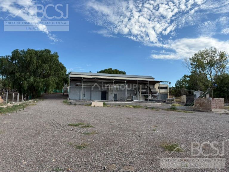 Bodega en Venta en Rivadavia, San Juan