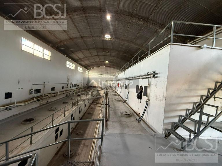 Bodega en Venta en Rivadavia, San Juan