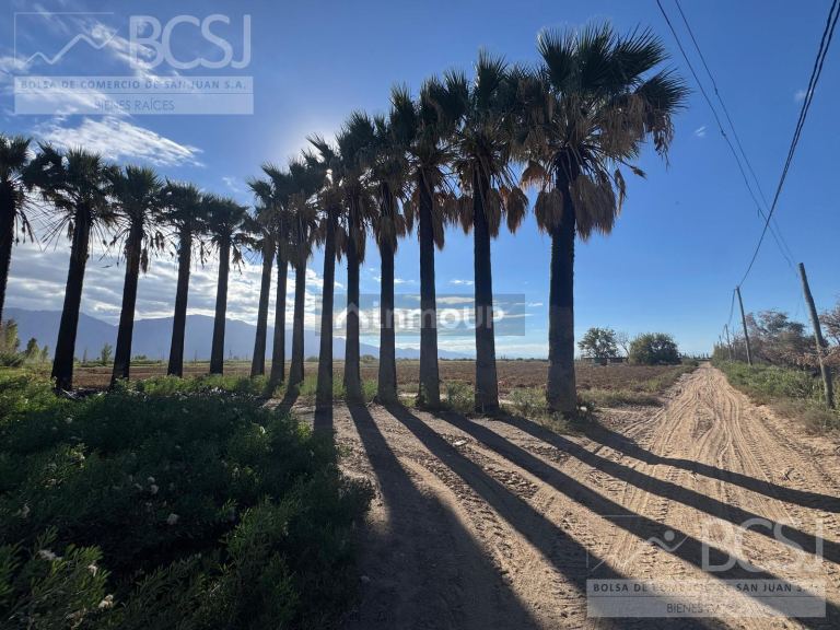 Finca en Venta en Pocito, San Juan