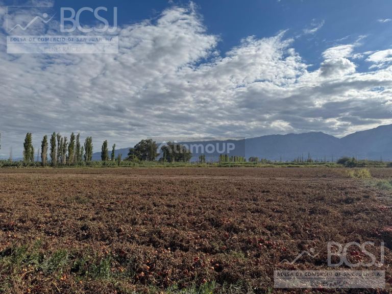 Finca en Venta en Pocito, San Juan