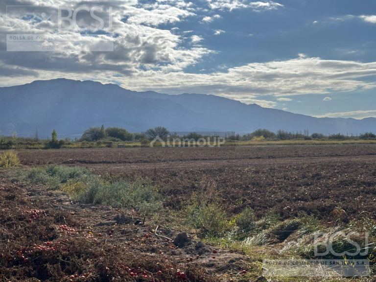 Finca en Venta en Pocito, San Juan