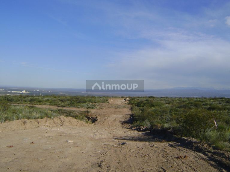 Lote en Venta en Lujan de Cuyo, Mendoza