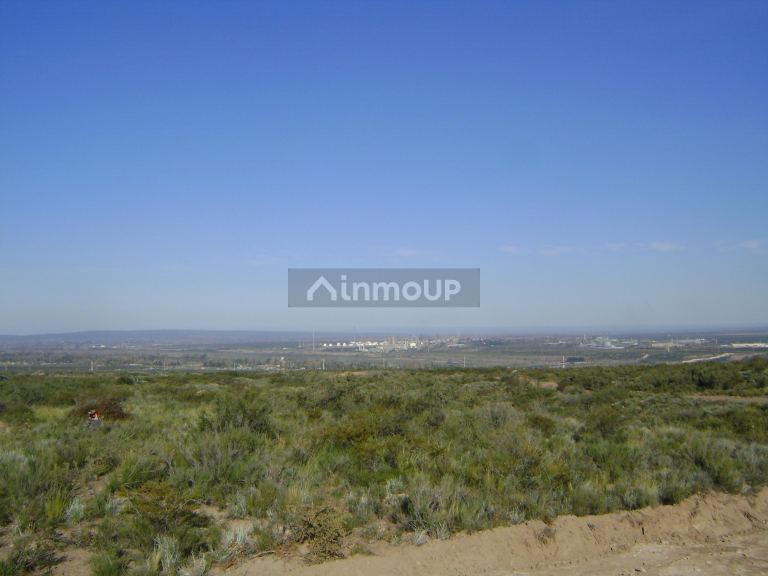 Lote en Venta en Lujan de Cuyo, Mendoza