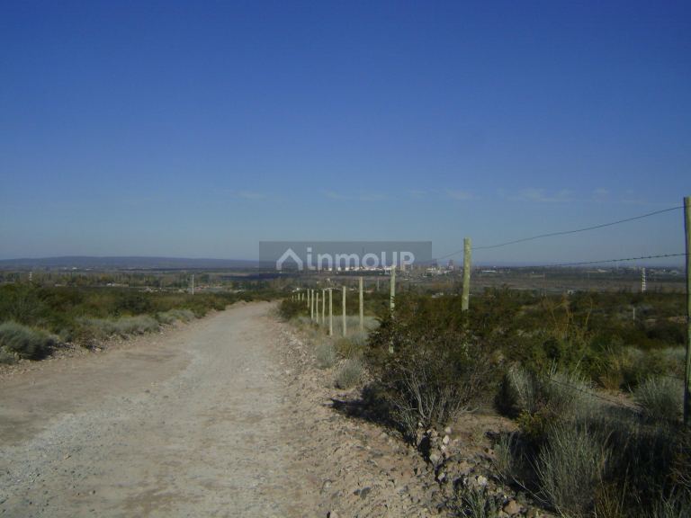 Lote en Venta en Lujan de Cuyo, Mendoza
