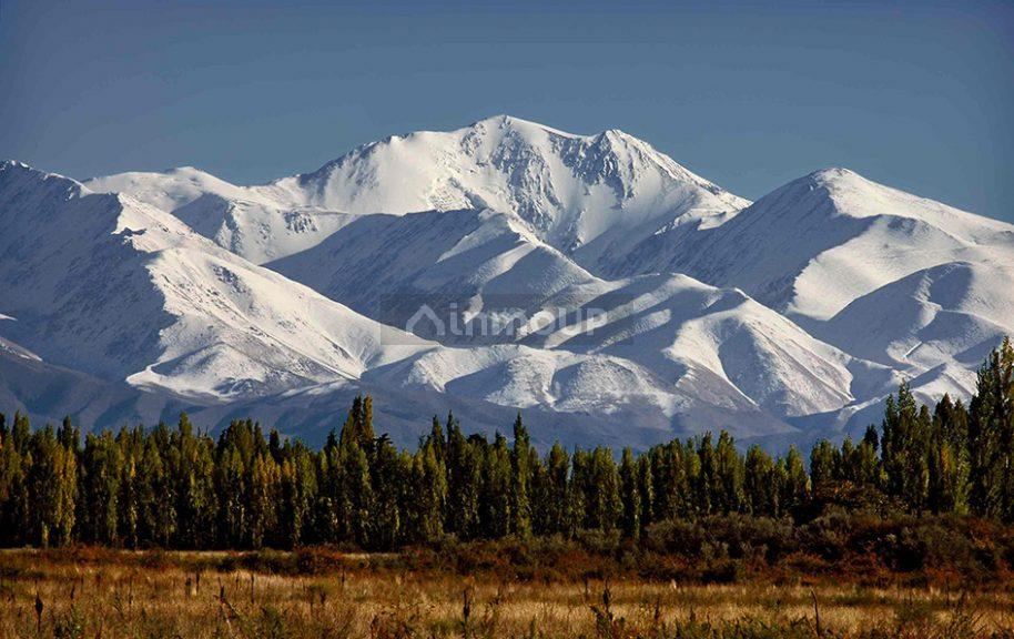 Lote en Venta en Lujan de Cuyo, Mendoza