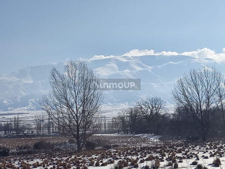 Lote en Venta en Tupungato, Mendoza