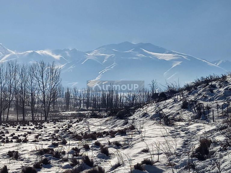 Lote en Venta en Tupungato, Mendoza