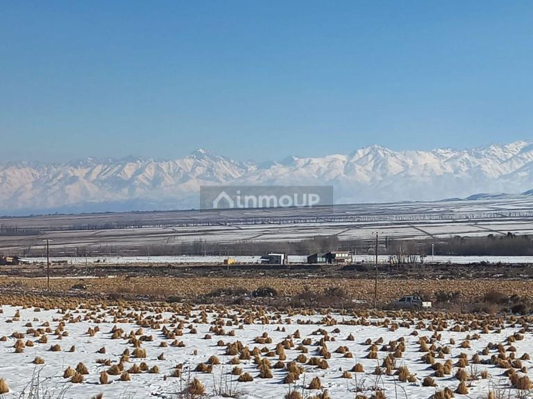 Lote en Venta en Tupungato, Mendoza