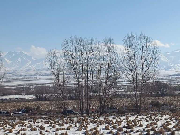 Lote en Venta en Tupungato, Mendoza