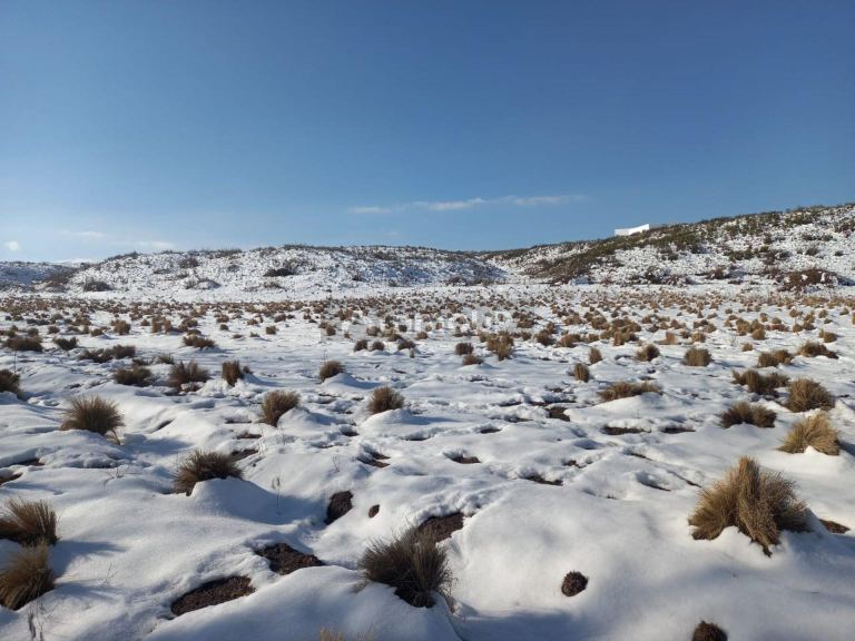 Lote en Venta en Tupungato, Mendoza