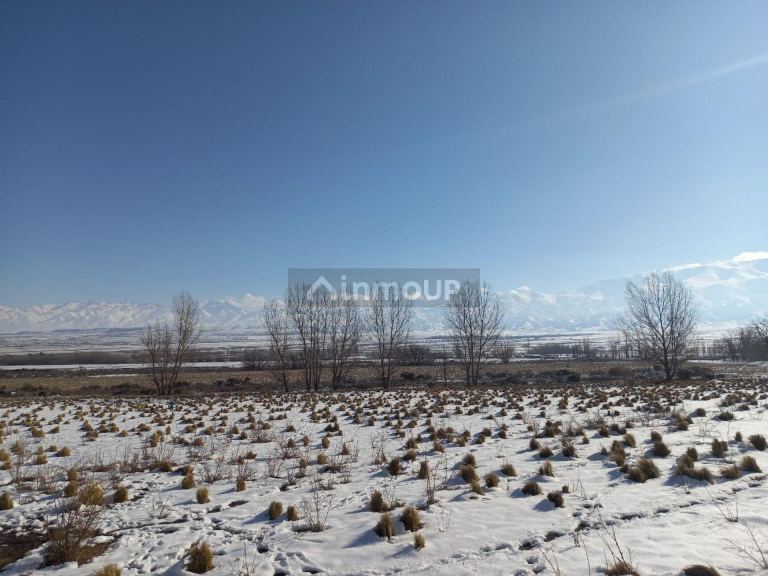 Lote en Venta en Tupungato, Mendoza