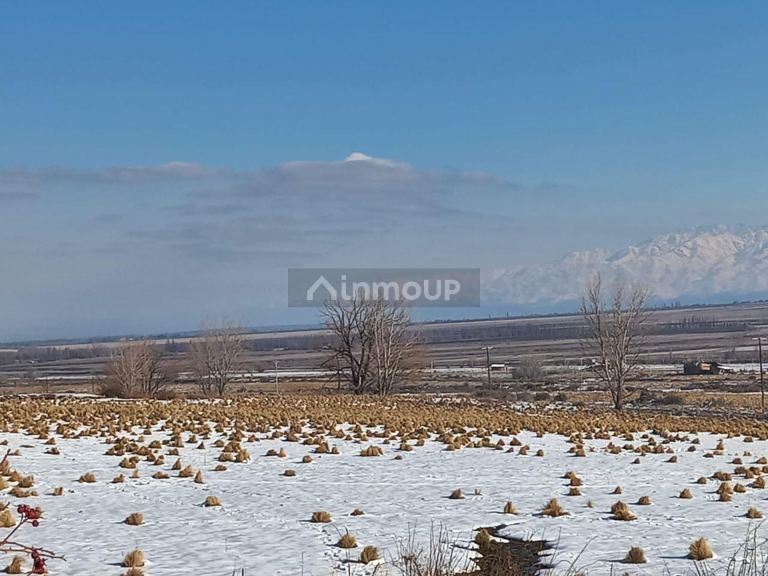 Lote en Venta en Tupungato, Mendoza