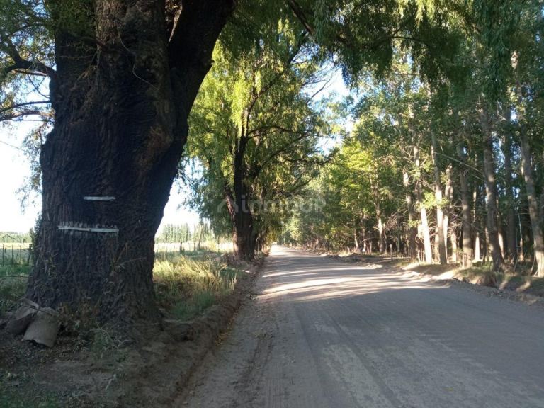 Lote en Venta en Las Heras, Mendoza