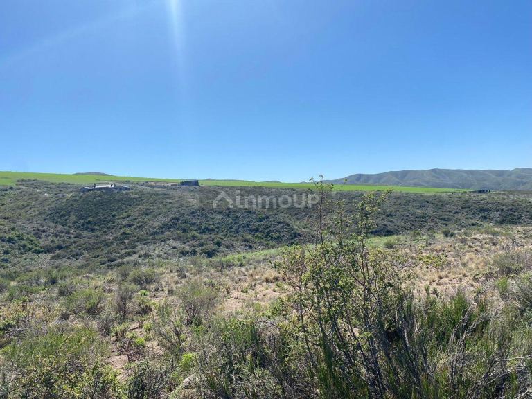 Lote en Venta en Tupungato, Mendoza