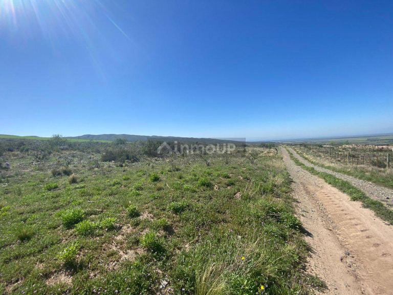 Lote en Venta en Tupungato, Mendoza