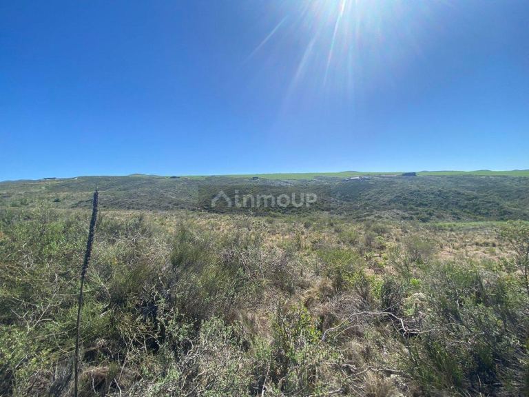 Lote en Venta en Tupungato, Mendoza