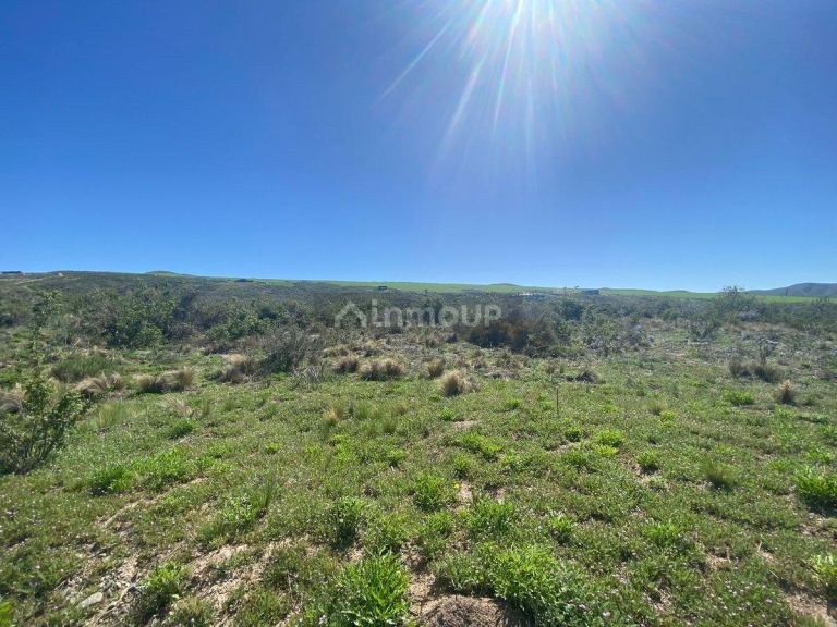 Lote en Venta en Tupungato, Mendoza