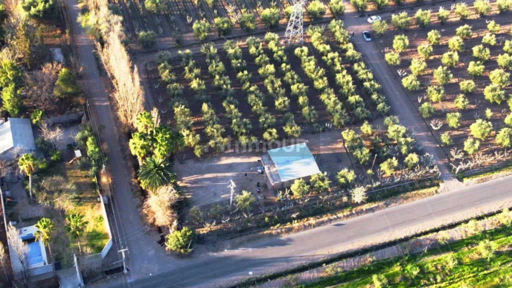 Campo en Venta en Maipu, Mendoza