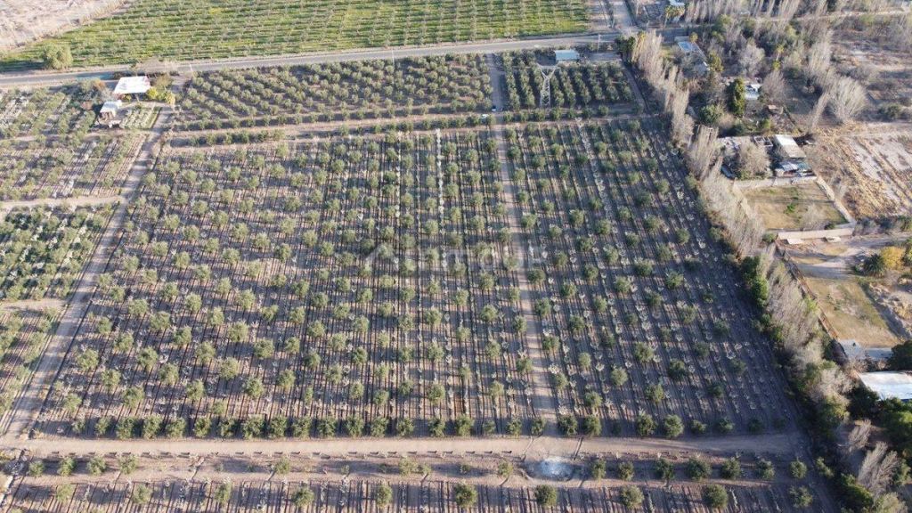 Campo en Venta en Maipu, Mendoza