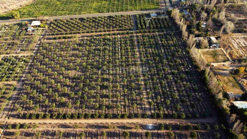 Campo en Venta en Maipu, Mendoza