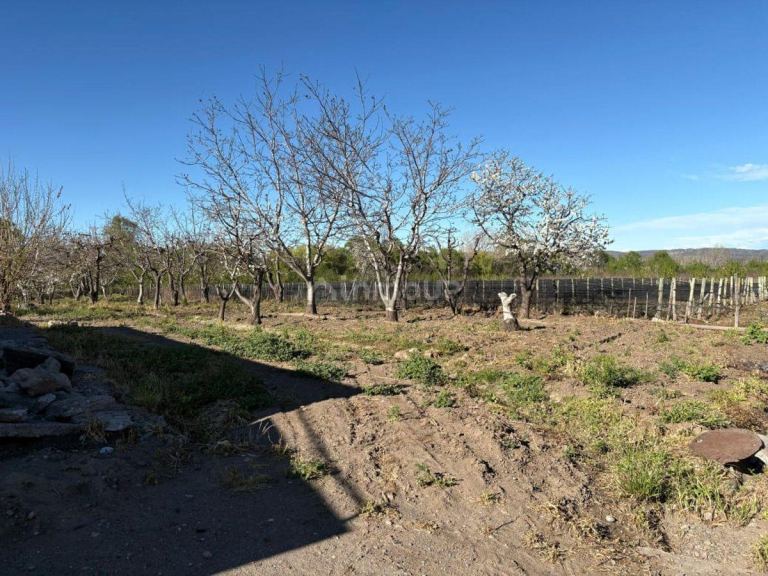 Lote en Venta en Tupungato, Mendoza
