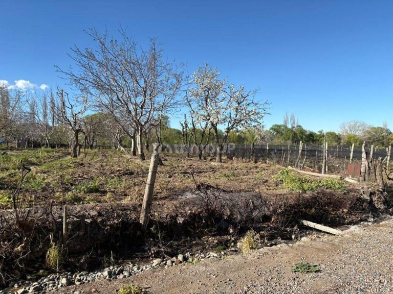 Lote en Venta en Tupungato, Mendoza