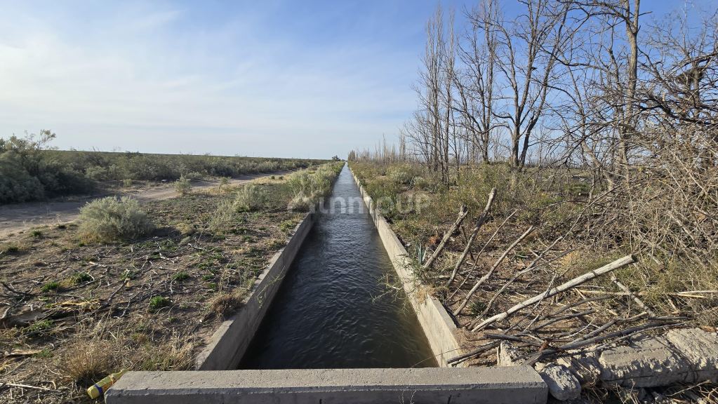 Finca en Venta en San Rafael, Mendoza