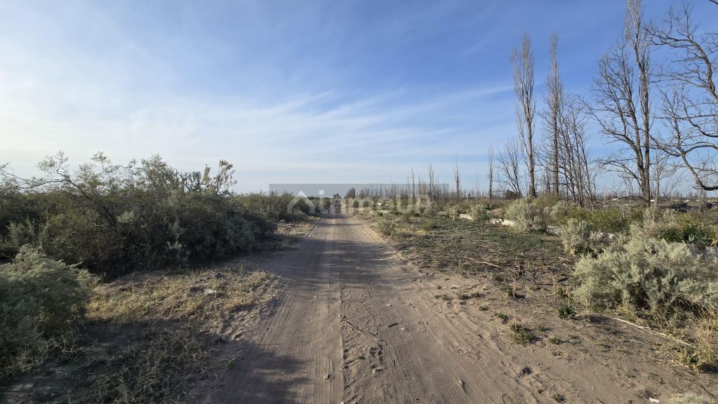 Finca en Venta en San Rafael, Mendoza