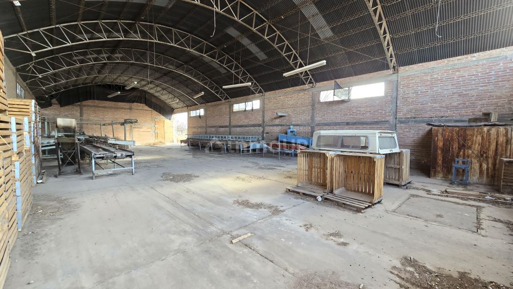 Finca en Venta en San Rafael, Mendoza