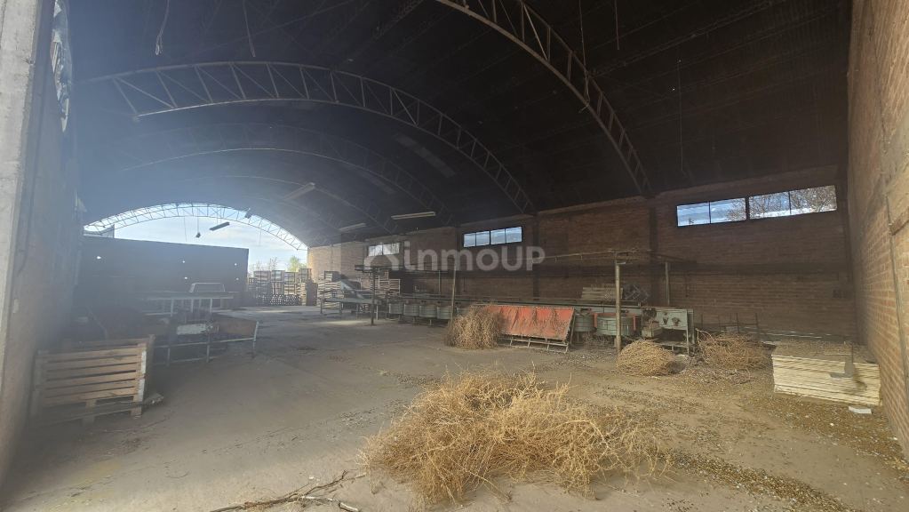 Finca en Venta en San Rafael, Mendoza