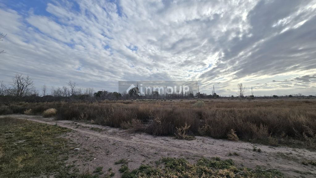 Finca en Venta en San Rafael, Mendoza