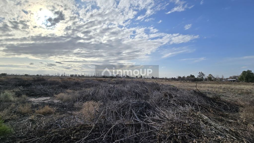 Finca en Venta en San Rafael, Mendoza