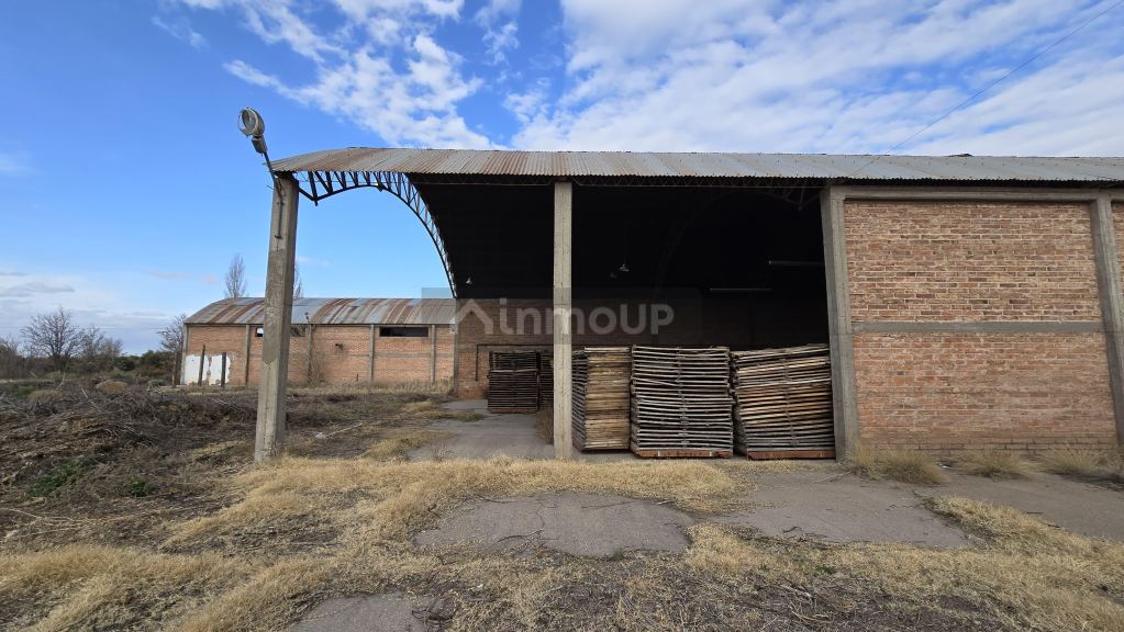 Finca en Venta en San Rafael, Mendoza