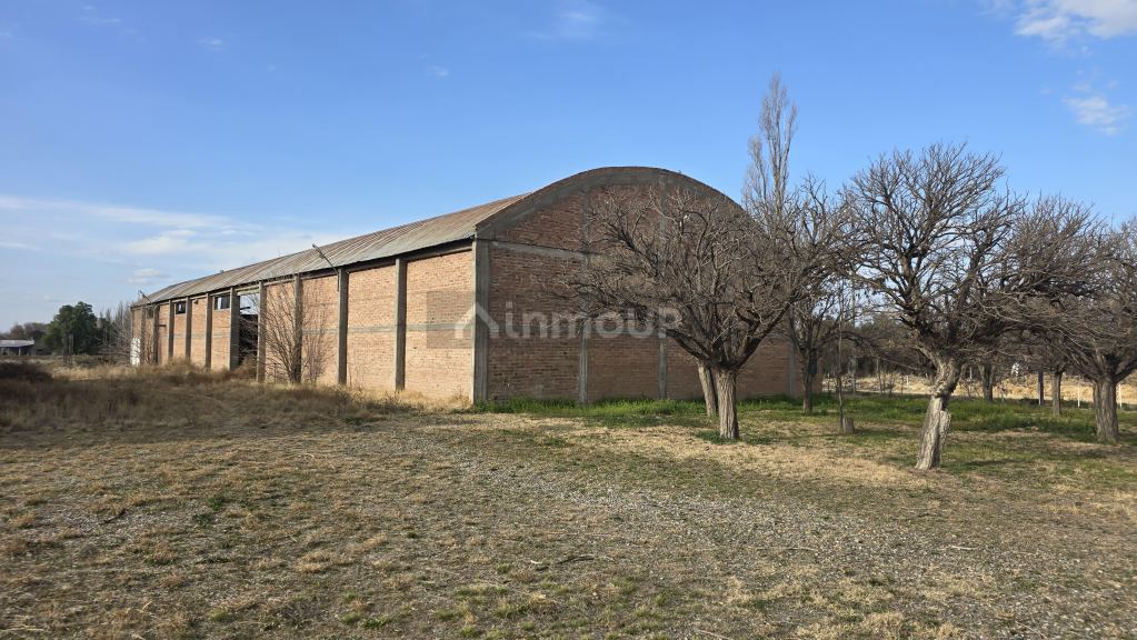 Finca en Venta en San Rafael, Mendoza